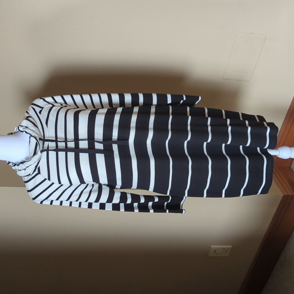 NEW Loft - Long Sleeved Dress